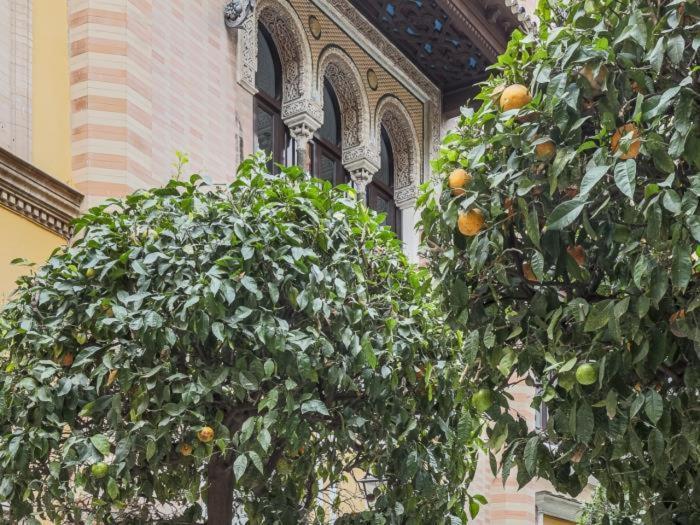 Placentines Cathedral Dreams Oasis En Santa Cruz Apartamento Sevilla